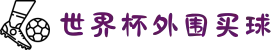 世界杯外围买球 - 外围玩法与盘口解析 - 2026世界杯